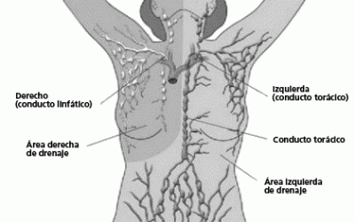 Drenaje linfático manual