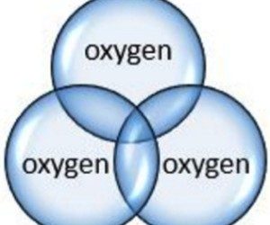 Oxigeno-ozono Terapia en el tratamiento de la insuficiencia venosa crónica.